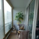 대우아파트 이미지