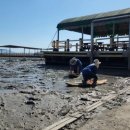 참살이민박 이미지