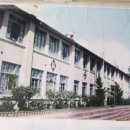 김천초교병설유치원 | 김천국민학교(김천) 25회