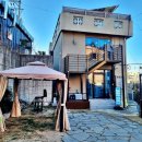 도그하우스 애견미용실 이미지