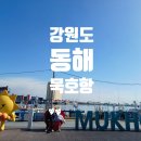 승리수산 | [강원도 동해] 묵호항 수산시장 무료 주차 꿀팁 &amp; 고등어회