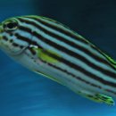 부산해양박물관 이미지