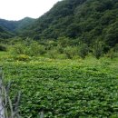 사암부동산공인중개사사무소 이미지