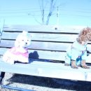 씽씽쑝쑝 이미지