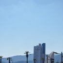 더 포라 수영장 이미지