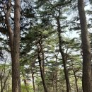 화부산주유소 이미지