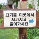 애견프라자 이미지