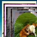 김포한강9로 75번길 이미지