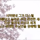잠언라이프