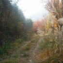 신성교 입구 이미지