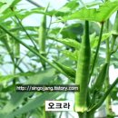 몽산농장 이미지