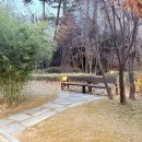 맑은하늘정형외과의원 이미지