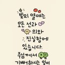 묵상: ‘메디타치오’라는 말이 가리키는 것 이미지
