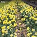 목단농장 이미지