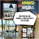 지미스테이 | 제주여행 필수템? 제주 카페 패스 3일권 솔직후기/구좌 조천읍