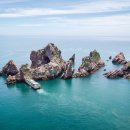 홍도식품 이미지