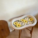 로드스테이 이미지