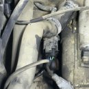 포항카클리닉 이미지