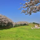 만년목장 이미지