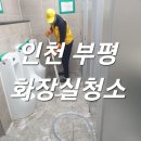 돌핀크린 이미지