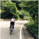 소리산스토리 | 따끈따끈 주말 라이딩 후기. 벗고개-중미산, 술어니고개-비솔고개 Aug 8-9. 2015