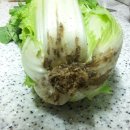 절임배추...3부 이미지