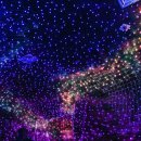 거제남서로 이미지