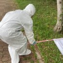 서귀포보건소 이미지