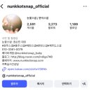 네스트웨딩홀 | 충주 네스트웨딩홀 &#34;눈꽃스냅&#34; 예약후기