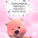 먼저골 민박 이미지