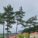 독일마을광장전망대펜션 이미지