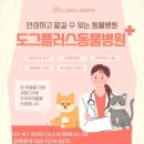 고려동물병원 | 칠곡동물병원 후기｜과잉진료 없는 동물병원 찾다가 방문한 곳