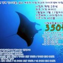 2월 19일 다합 도착, 정가택시(0930am)/ 3박 숙박/1일 블루홀 안전 스노클링 트립 이미지