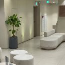 미라클플란트치과의원 이미지