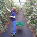 한절농장 이미지