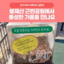 「SNS 함께 책 읽기」 3기 [메리골드 마음 사진관] | [서포터즈] 생태 숲 환경 교실, 책 쉼터, 그린어게인 음악회까지~! 풍성한 가을 &#39;봉제산 근린공원&#39;에서...