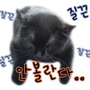 글라스타선부점 이미지