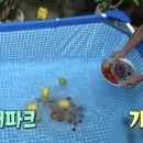 시장토종닭집
