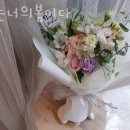 나는너의봄이다 이미지