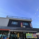 해물나라 | 마산 구산면 굴구이 맛집 추천, 옥이해물나라 내돈내산 후기