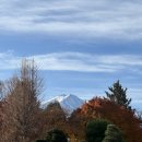 고속기사식당 | [도쿄 / 가와구치코 여행] Day 5. 가와구치코에서 나리타 공항가기. (고속버스 이용 후기)