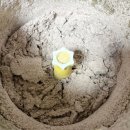 오늘만든떡 | 건강식단 저속노화밥 흑미밥 당뇨에좋은 흑미효능 직접 만든 흑미떡 후기