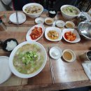 최씨고집 이미지