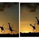 기린PC방 이미지