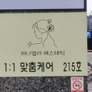 허니벨라 이미지