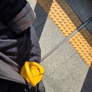 용문농협하나로마트(용문점) | 크리스마스에 양평 용문에서 촌캉스하기 -1-