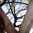 등마루공원 이미지