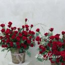 주정차111 이미지