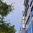 [대구 수성구 헤어샵]고산역 살롱디엘, 머리잘하는곳, 원장님 직접, 퓨링펌 후기, 내돈내산