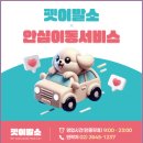 신정애견미용 이미지